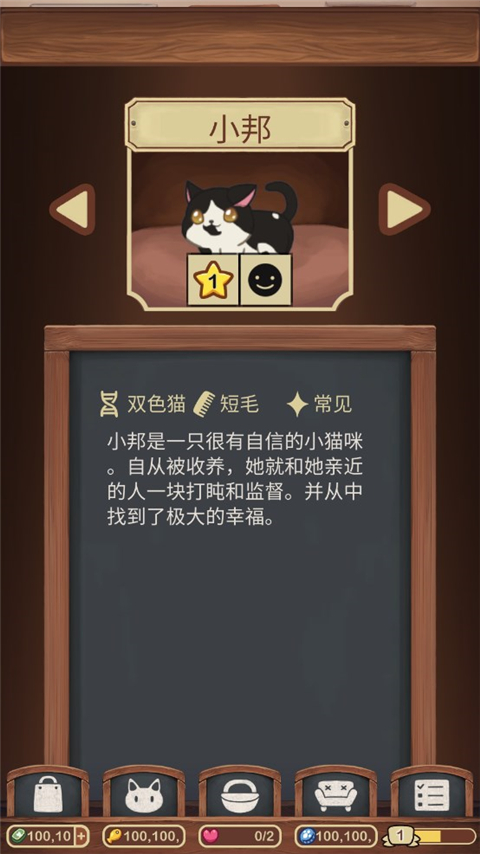 绒毛猫咖啡厅