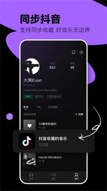 汽水音乐app车机版